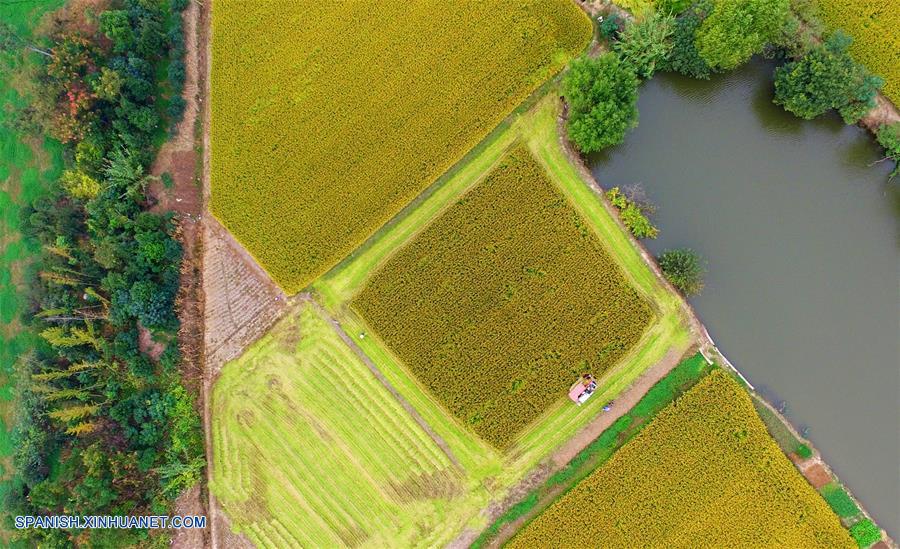 Visión 2015: Fotos aéreas impresionantes seleccionadas por Xinhua

