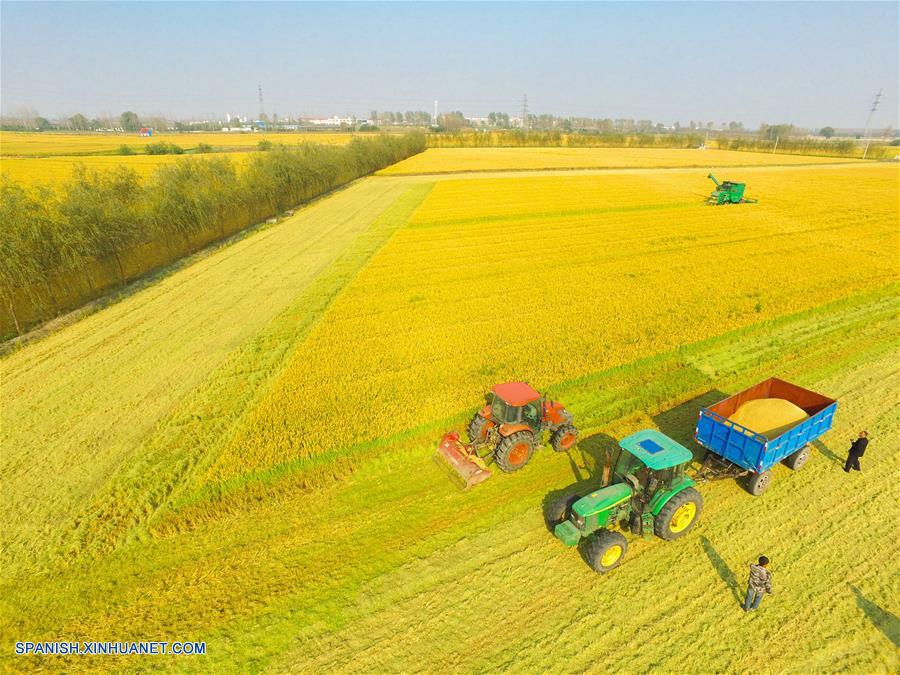 Visión 2015: Fotos aéreas impresionantes seleccionadas por Xinhua

