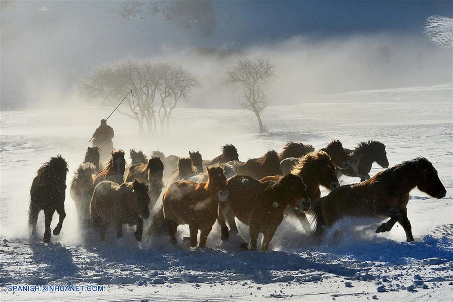 Fotos de Xinhua de la semana 1221-1227