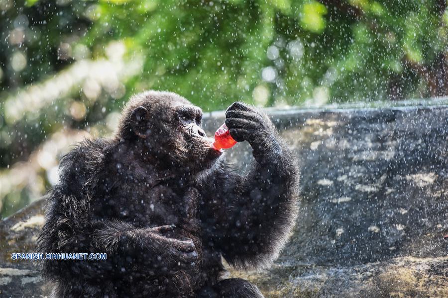 2015 en imágenes: Gestos de animales