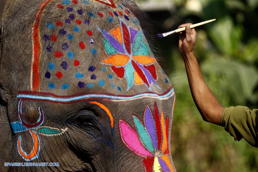 Celebran concurso de belleza de elefantes en Nepal