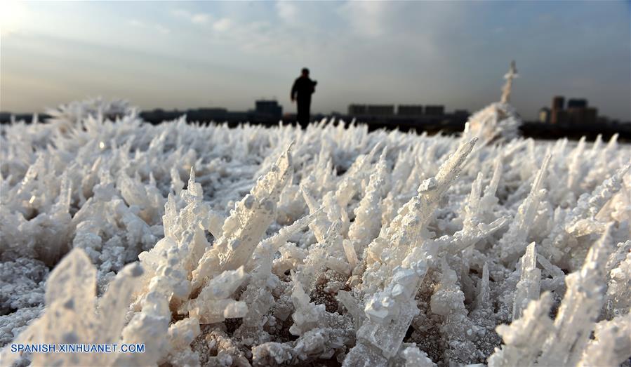 Fotos de Xinhua de la semana 0118-0124: China, Mundo de hielo y nieve