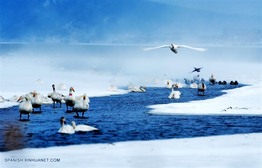 Fotos de Xinhua de la semana 0118-0124: China, Mundo de hielo y nieve