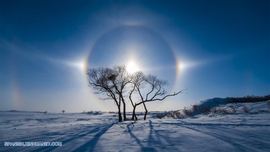 Fotos de Xinhua de la semana 0125-0131