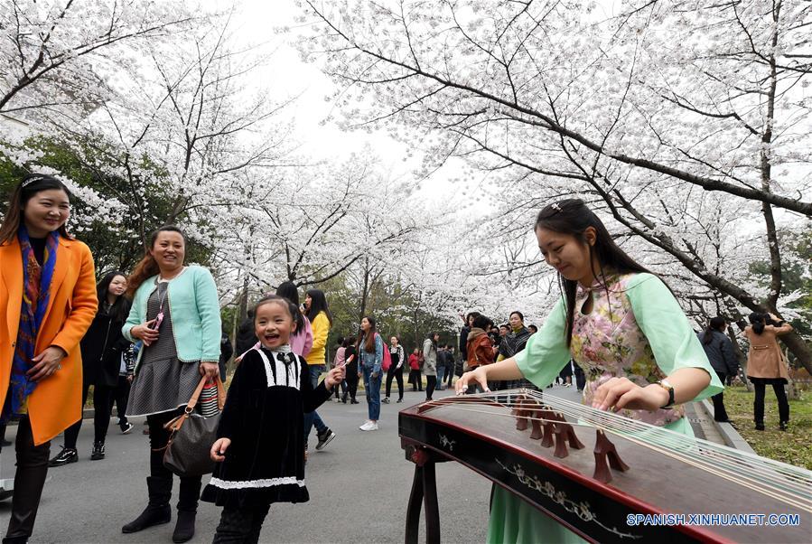 CHINA-NANJING-CHERRY BLOSSOM (CN) 