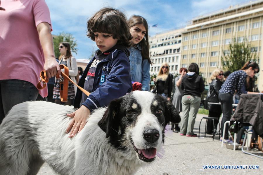 GREECE-ATHENS-WORLD STRAY ANIMALS DAY-FEATURE