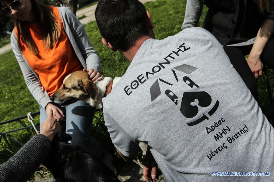 GREECE-ATHENS-WORLD STRAY ANIMALS DAY-FEATURE