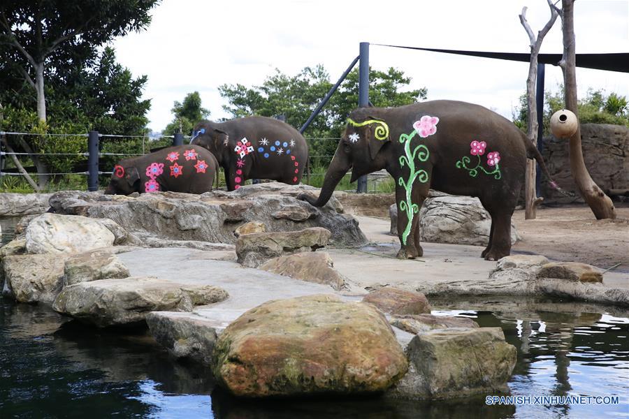 AUSTRALIA-SYDNEY-TARONGA ZOO-SONGKRAN FESTIVAL-CELEBRATION