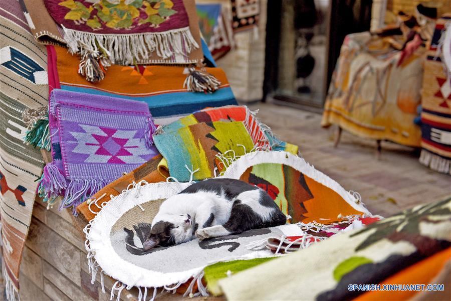 EGYPT-CAIRO-CARPET MAKING