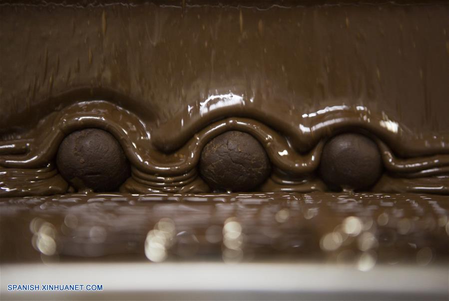 'Abuela Goye', posee una producción promedio de 800kg de chocolate por día.