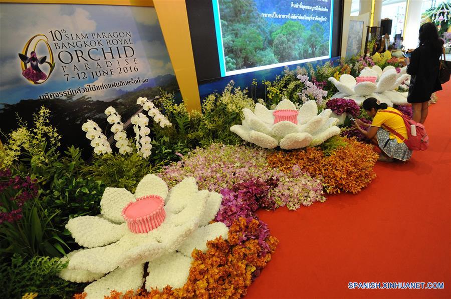 (1)TAILANDIA-BANGKOK-MEDIO AMBIENTE-FAUNA 