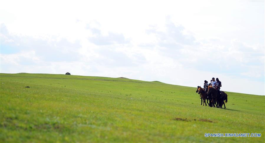 （生态）（1）内蒙古草原进入最美旅游季节