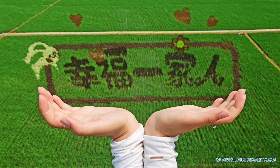 (2)CHINA-SHENYANG-INDUSTRIA-AGRICULTURA