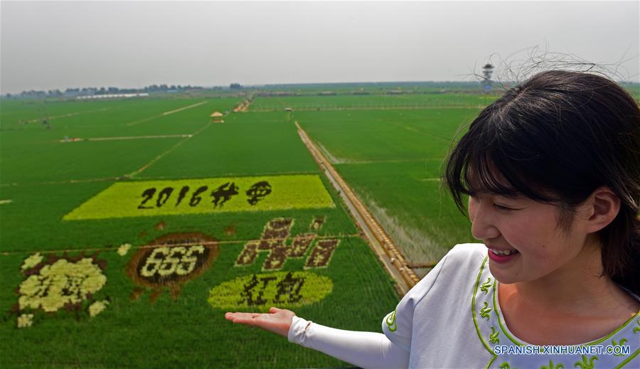 (6)CHINA-SHENYANG-INDUSTRIA-AGRICULTURA