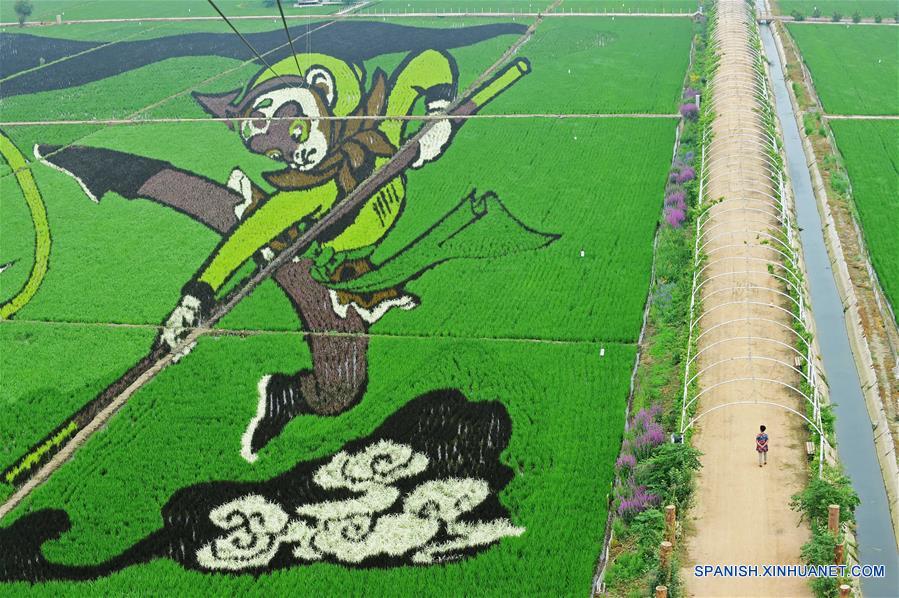 (7)CHINA-SHENYANG-INDUSTRIA-AGRICULTURA