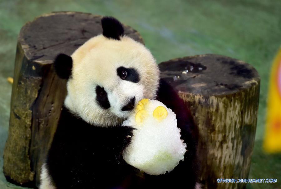 (1)CHINA-TAIPEI-MEDIO AMBIENTE-FAUNA 
