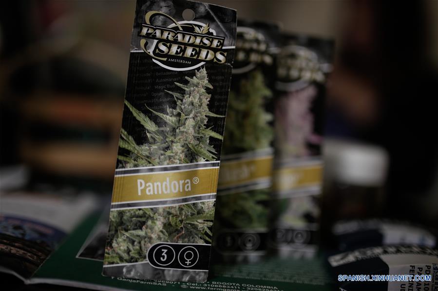 (10)COLOMBIA-BOGOTA-SALUD-MARIHUANA-SERIE