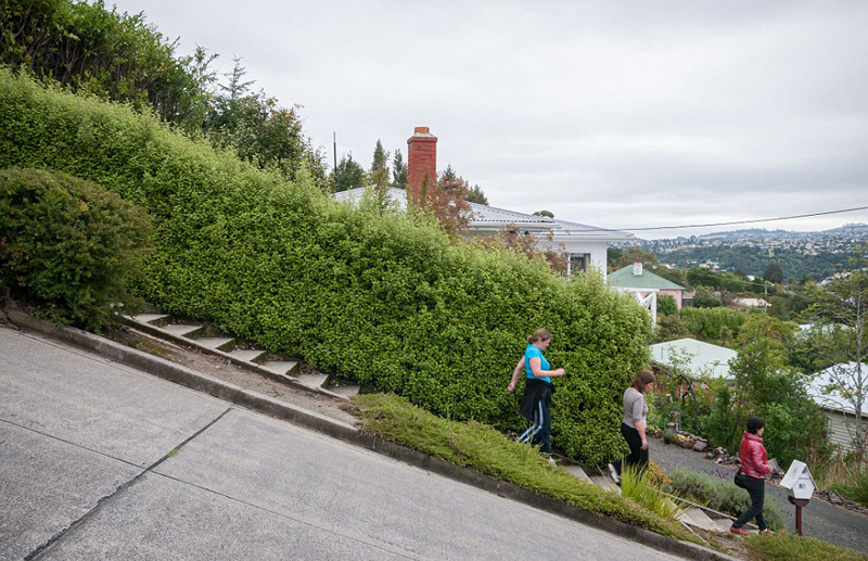 新西兰最陡街道引众多游人围观