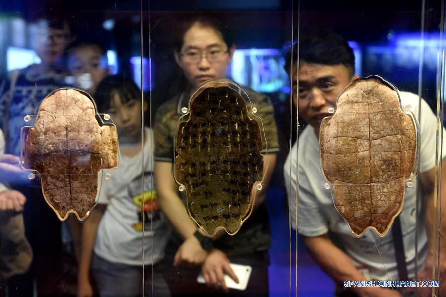 (1)CHINA-HENAN-CULTURA-MUSEO