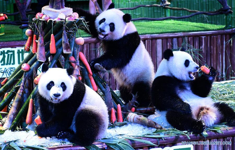 (8)CHINA-GUANGDONG-MEDIO AMBIENTE-FAUNA