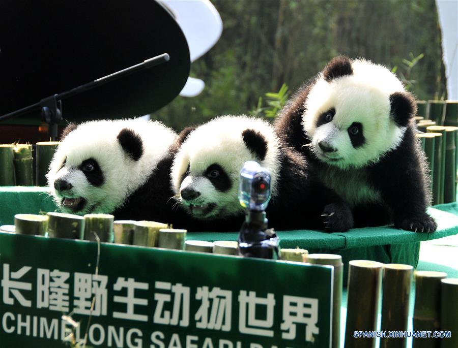 (7)CHINA-GUANGDONG-MEDIO AMBIENTE-FAUNA