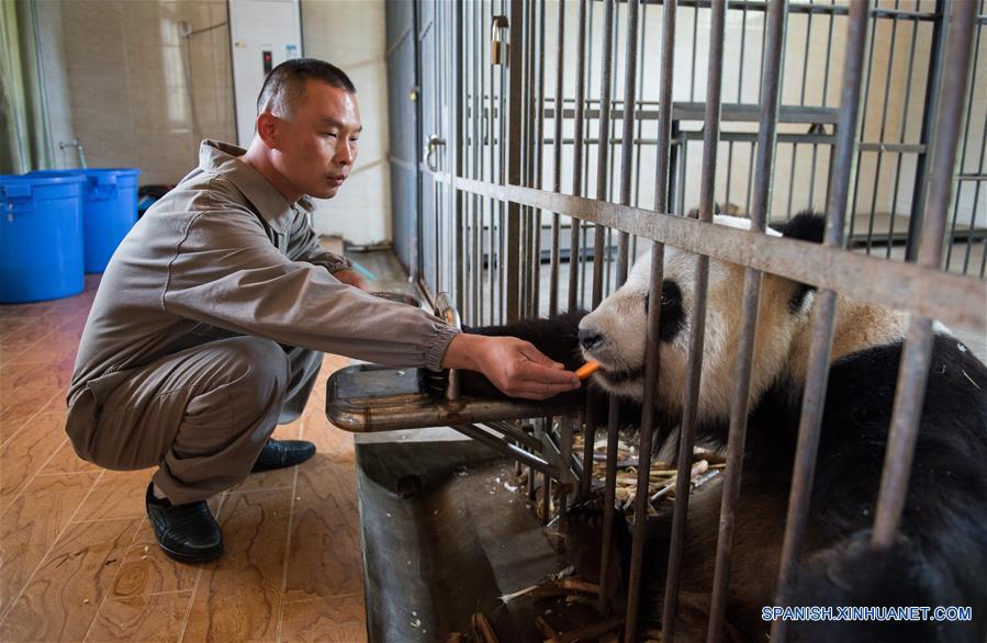 (1)CHINA-SICHUAN-MEDIO AMBIENTE-FAUNA