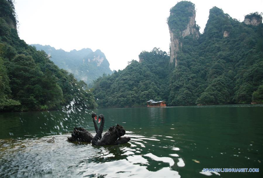 (1)CHINA-HUNAN-MEDIO AMBIENTE-FAUNA 