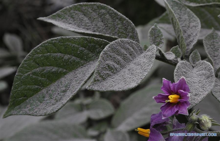 (5)COSTA RICA-SAN GERARDO DE IRAZU-MEDIO AMBIENTE-VOLCAN