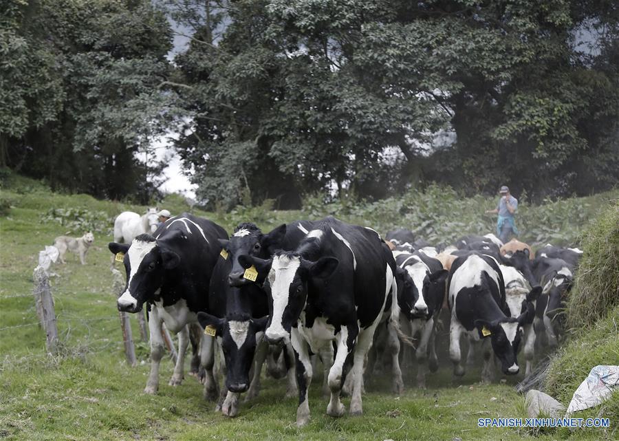 (6)COSTA RICA-SAN GERARDO DE IRAZU-MEDIO AMBIENTE-VOLCAN
