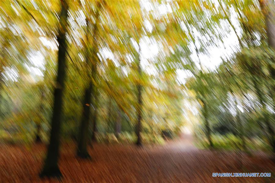 (3)REINO UNIDO-LONDRES-MEDIO AMBIENTE-PAISAJE