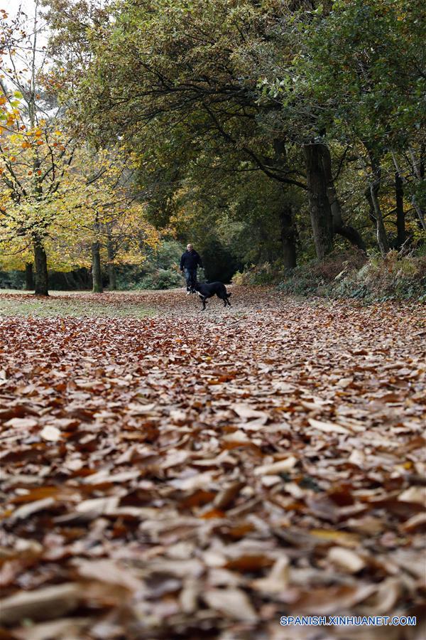 (5)REINO UNIDO-LONDRES-MEDIO AMBIENTE-PAISAJE