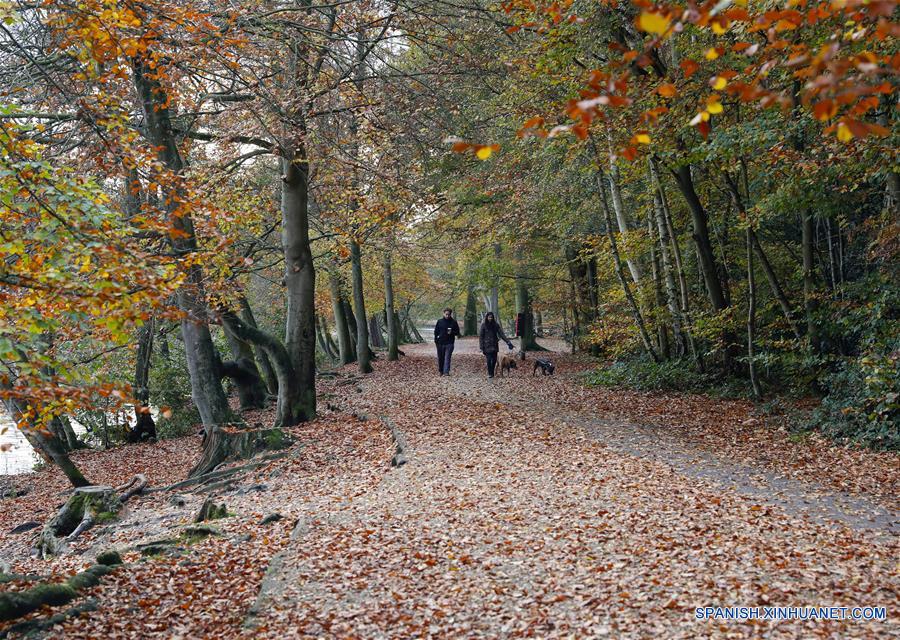 (6)REINO UNIDO-LONDRES-MEDIO AMBIENTE-PAISAJE