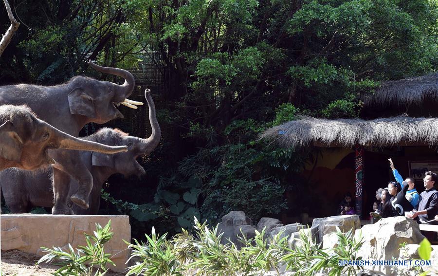 (6)CHINA-GUANGDONG-MEDIO AMBIENTE-FAUNA 
