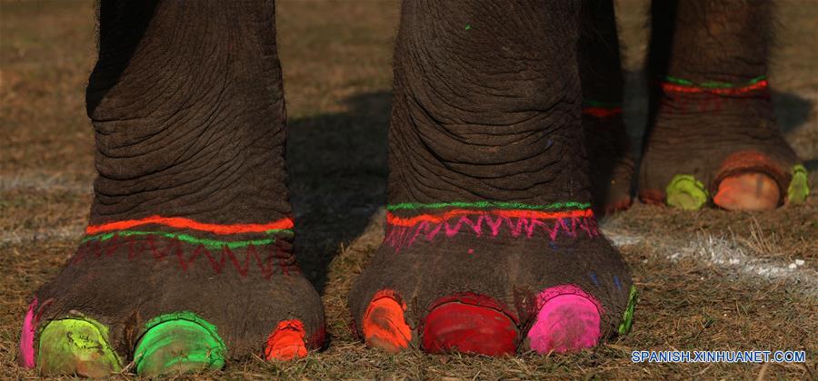 (4)NEPAL-CHITWAN-SOCIEDAD-EVENTO