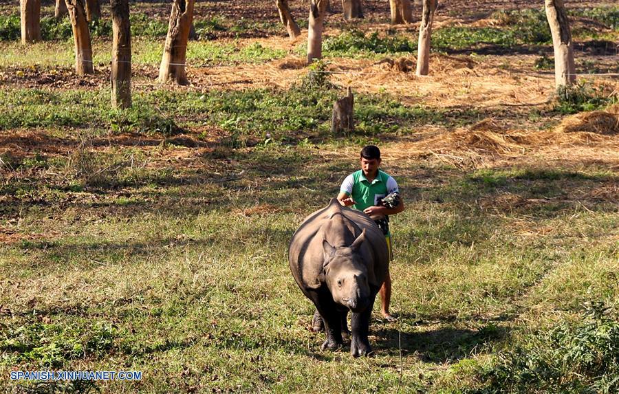 (3)NEPAL-CHITWAN-MEDIO AMBIENTE-FAUNA