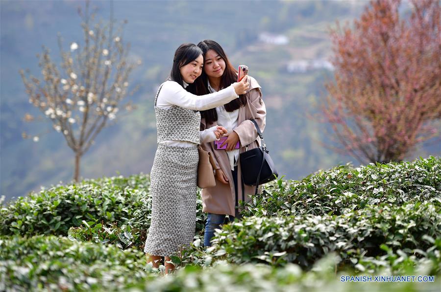 (2)CHINA-SHAANXI-JARDIN DE TE