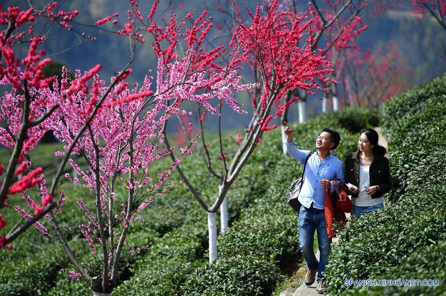 (3)CHINA-SHAANXI-JARDIN DE TE