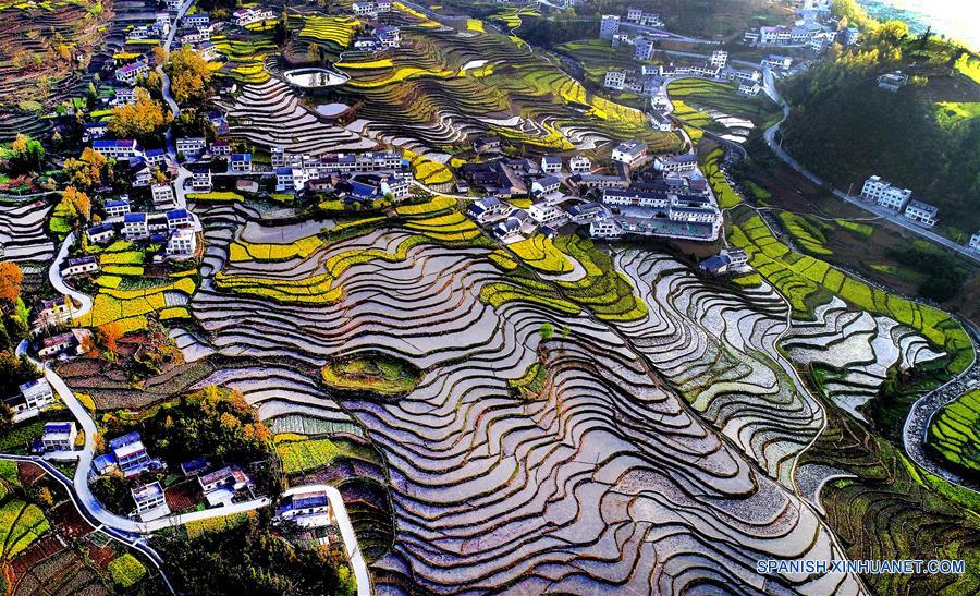 (3)CHINA-SHAANXI-AGRICULTURA