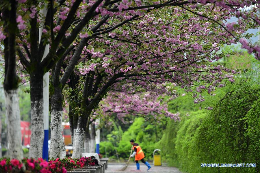 (4)CHINA-HUBEI-FESTIVAL QINGMING