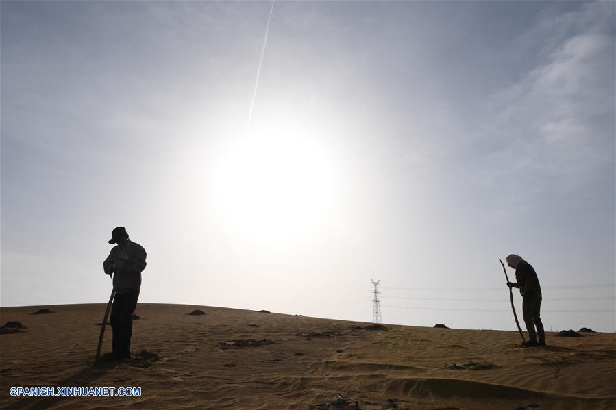 (2)CHINA-MONGOLIA INTERIOR-DESIERTO KUBUQI-TRABAJADORES
