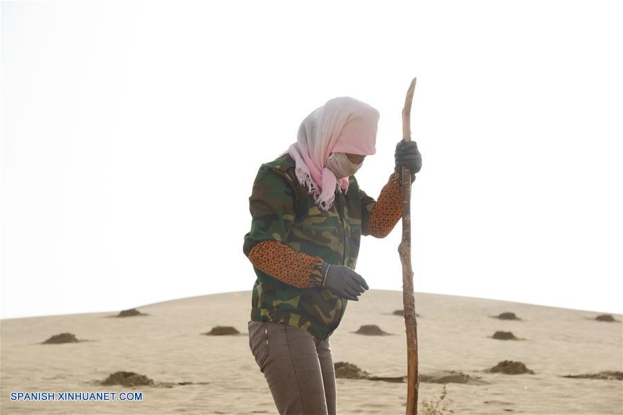 (3)CHINA-MONGOLIA INTERIOR-DESIERTO KUBUQI-TRABAJADORES
