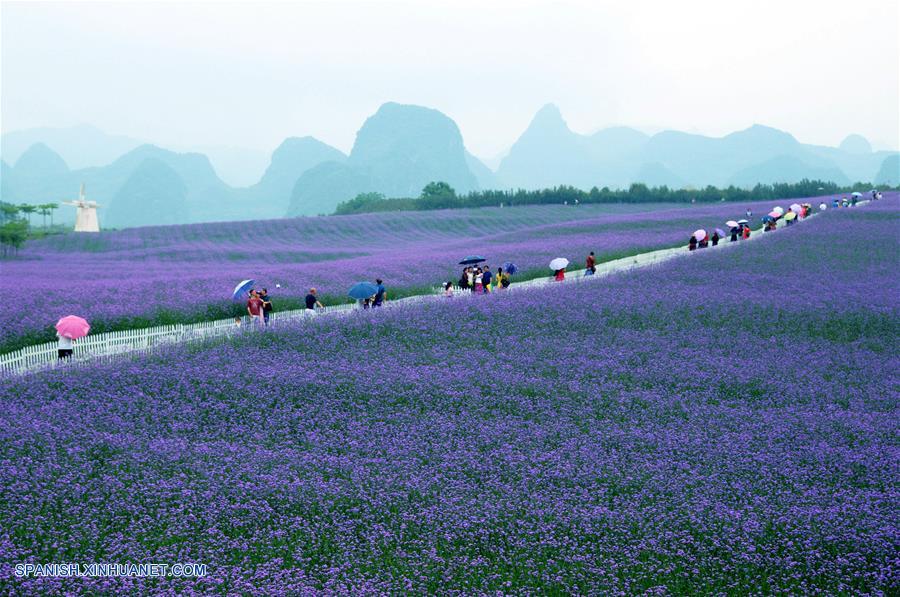 (7)CHINA-GUANGXI-DIA DEL TRABAJO-TURISMO