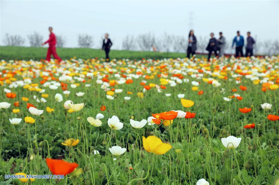 (8)CHINA-JIANGSU-DIA DEL TRABAJO-TURISMO