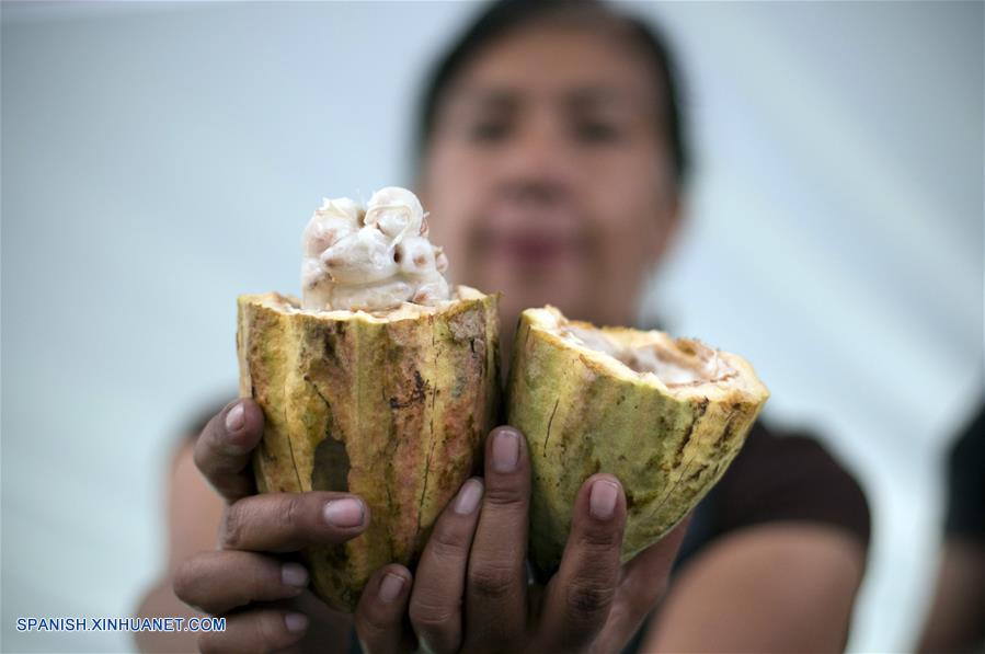 (5)MEXICO-CIUDAD DE MEXICO-FESTIVAL-CACAO