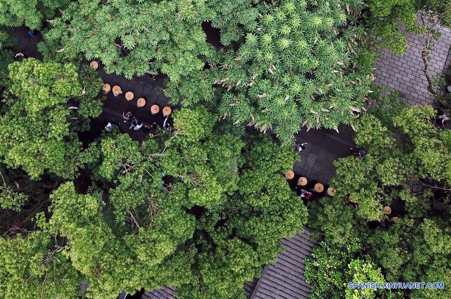 (2)CHINA-ZHEJIANG-MONJES-CARIDAD