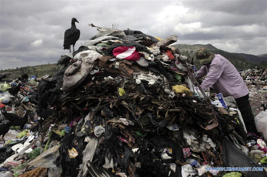 (1)HONDURAS-TEGUCIGALPA-DIA MUNDIAL DEL MEDIO AMBIENTE