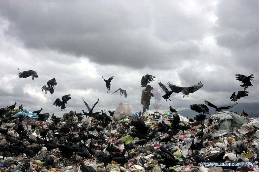 (4)HONDURAS-TEGUCIGALPA-DIA MUNDIAL DEL MEDIO AMBIENTE