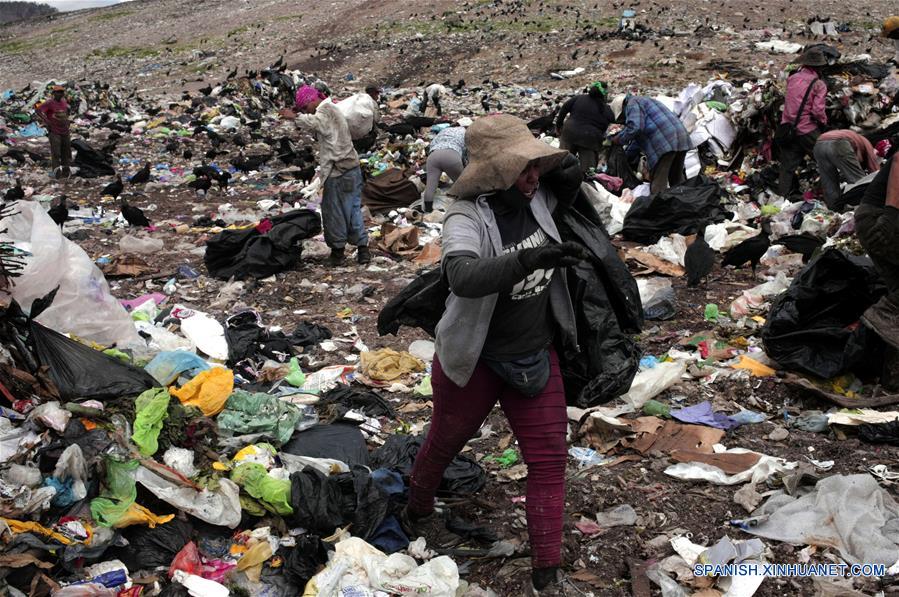 (7)HONDURAS-TEGUCIGALPA-DIA MUNDIAL DEL MEDIO AMBIENTE