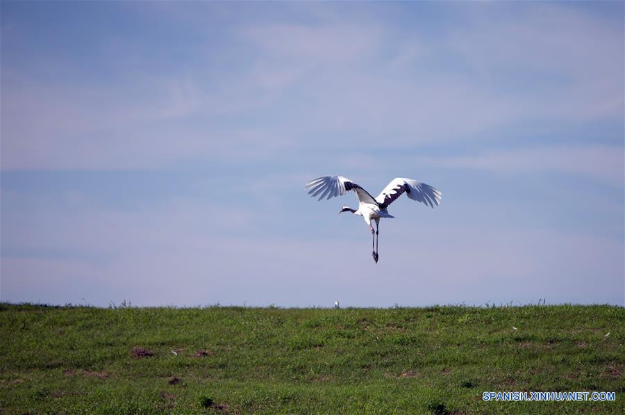 CHINA-HEILONGJIANG-RESERVA NATURAL-SERIE