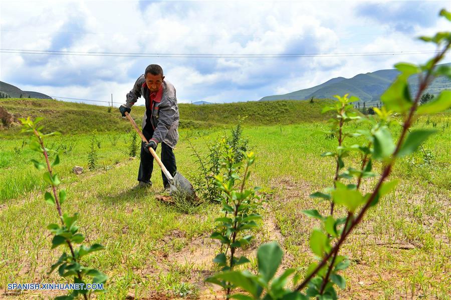 CHINA-SHANXI-PROTECCION ECOLOGICA 